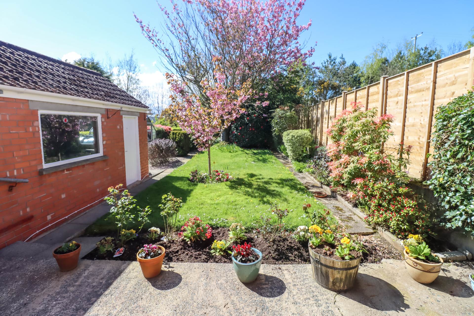 18 Mount Regan Avenue, Belfast, Image 19