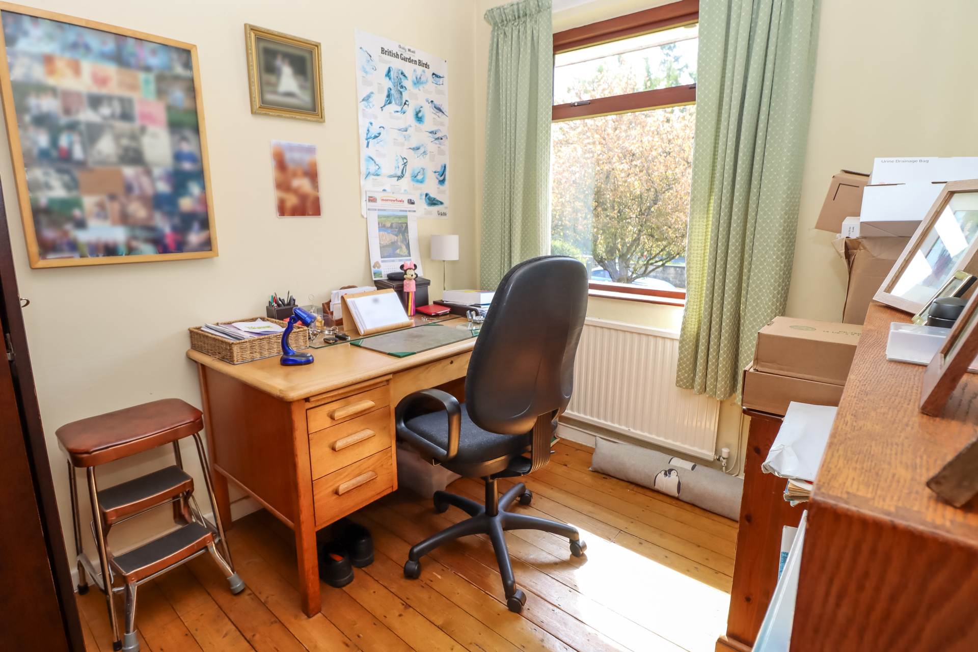 794 Upper Newtownards Road, Dundonald, Image 19