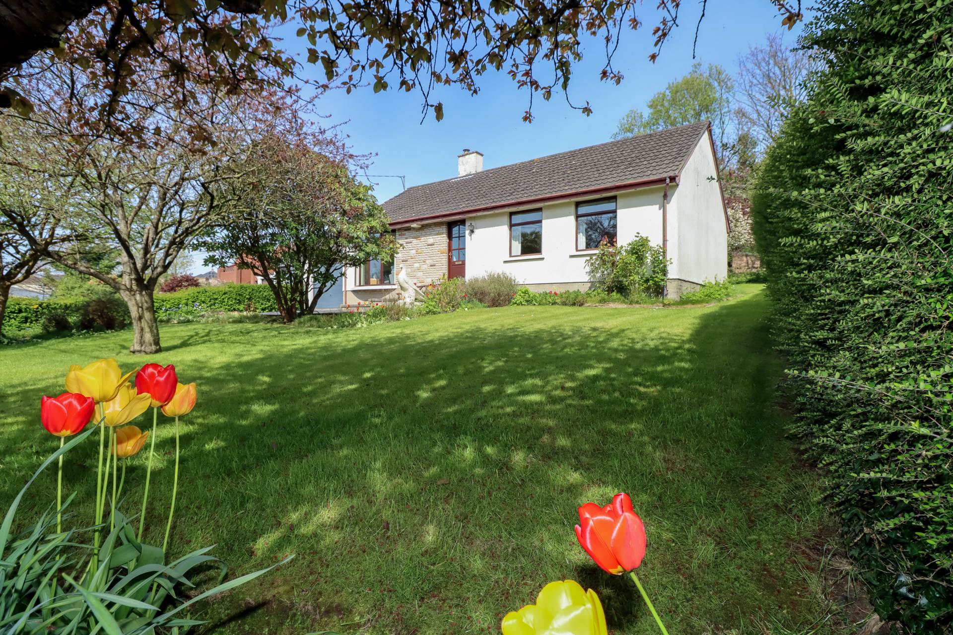 794 Upper Newtownards Road, Dundonald, Image 2