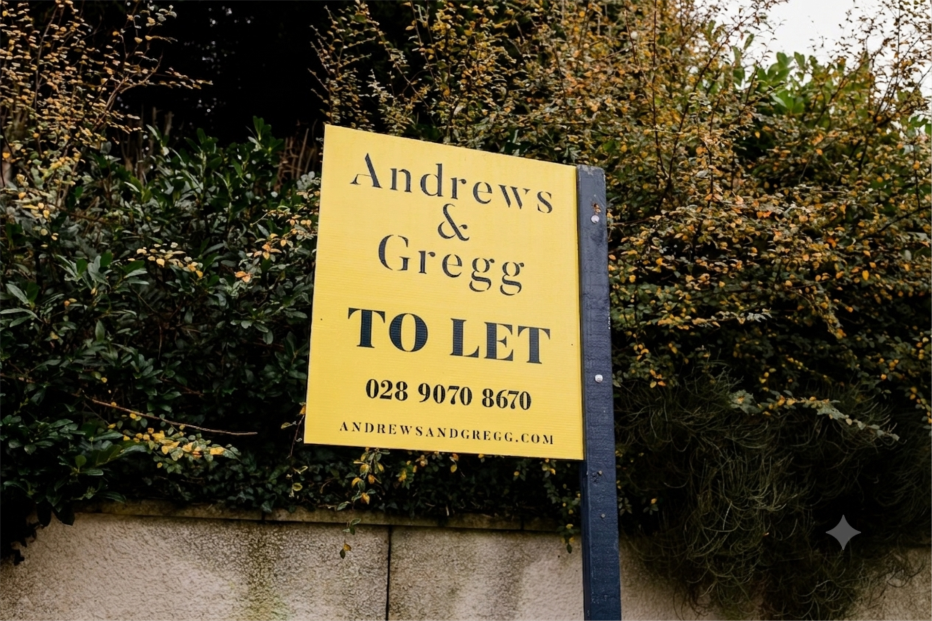 Letting Your Property in Newtownards — A Complete Landlord Guide