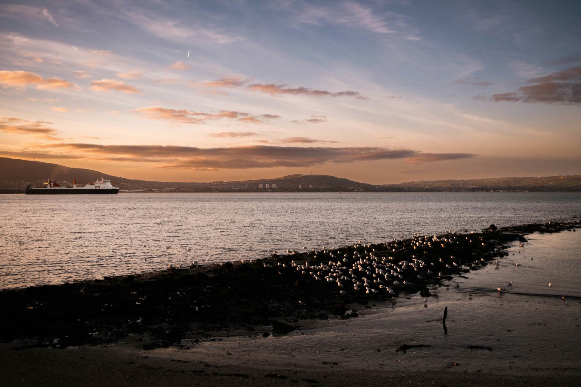 Thinking of Selling Your Home in Holywood? Here`s What to Expect