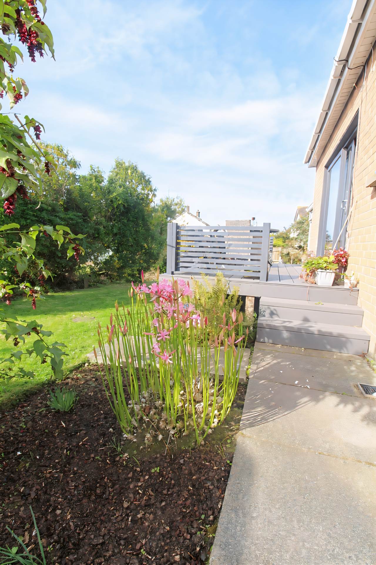43 Ballymacormick Drive, Bangor, Image 22