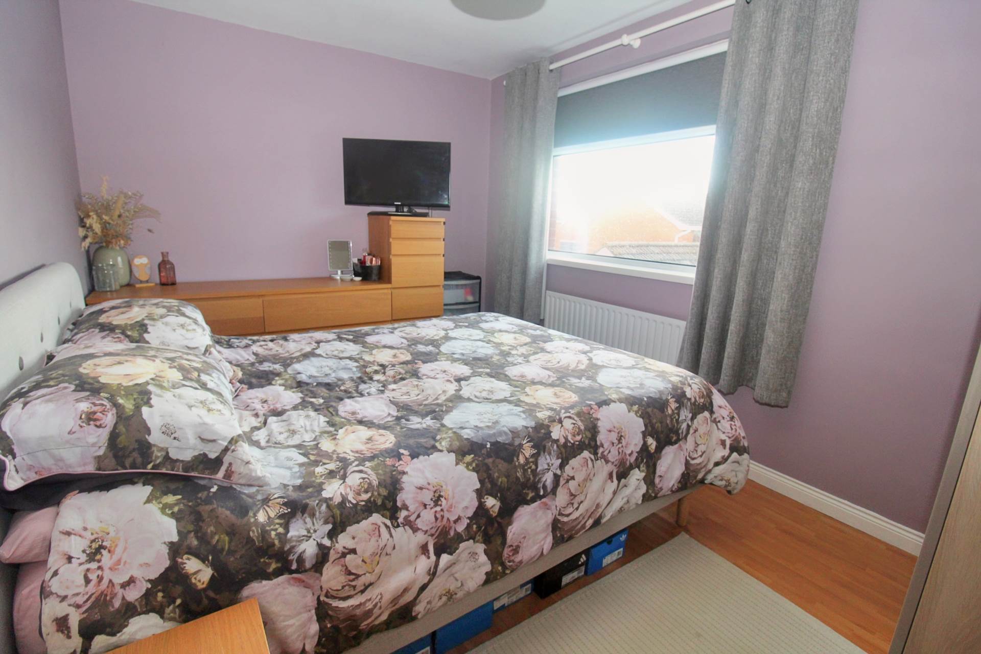 3 Cloverhill Ave, Bangor, Image 12