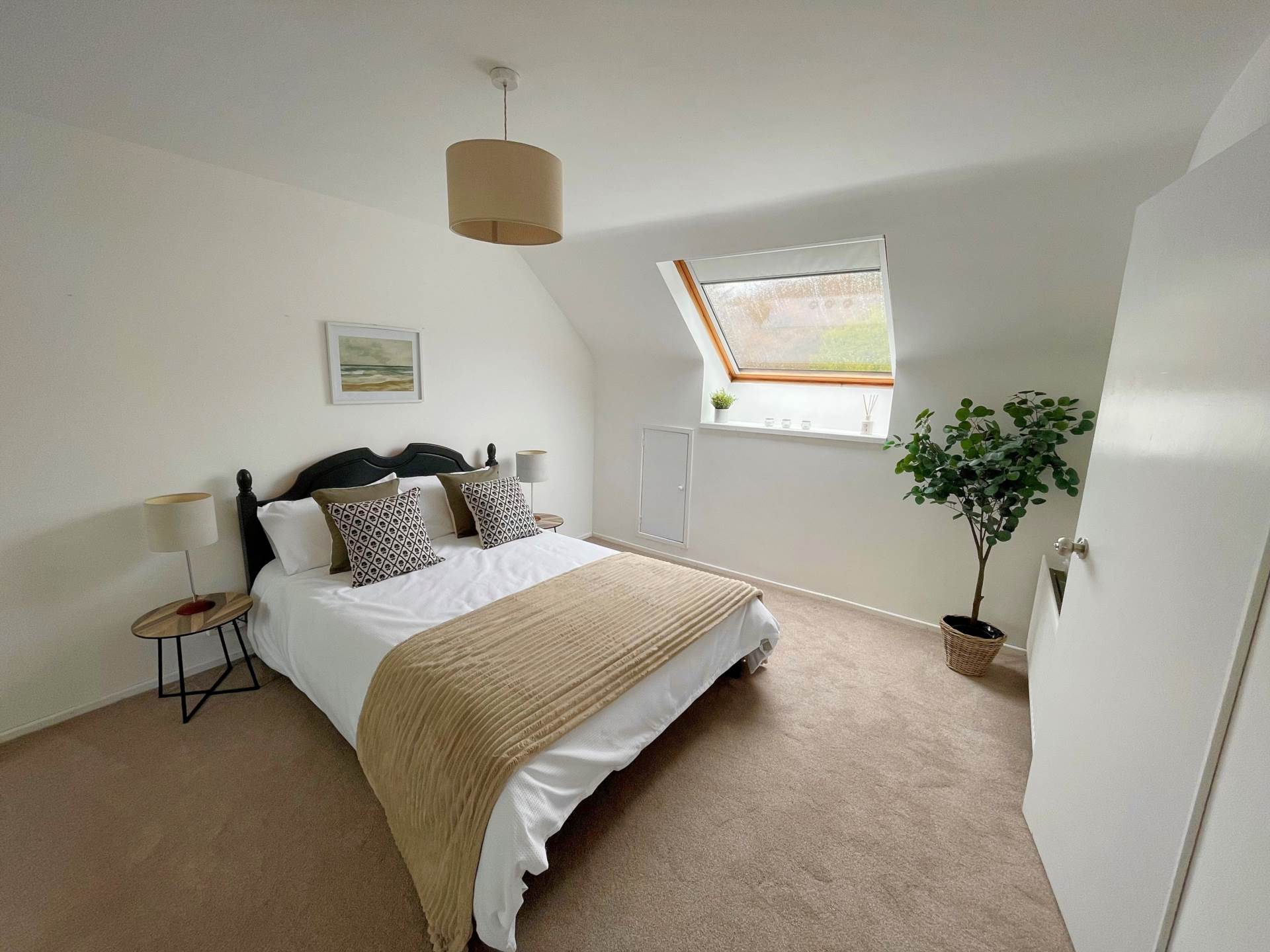 18 Rodney Park, Bangor, Image 16