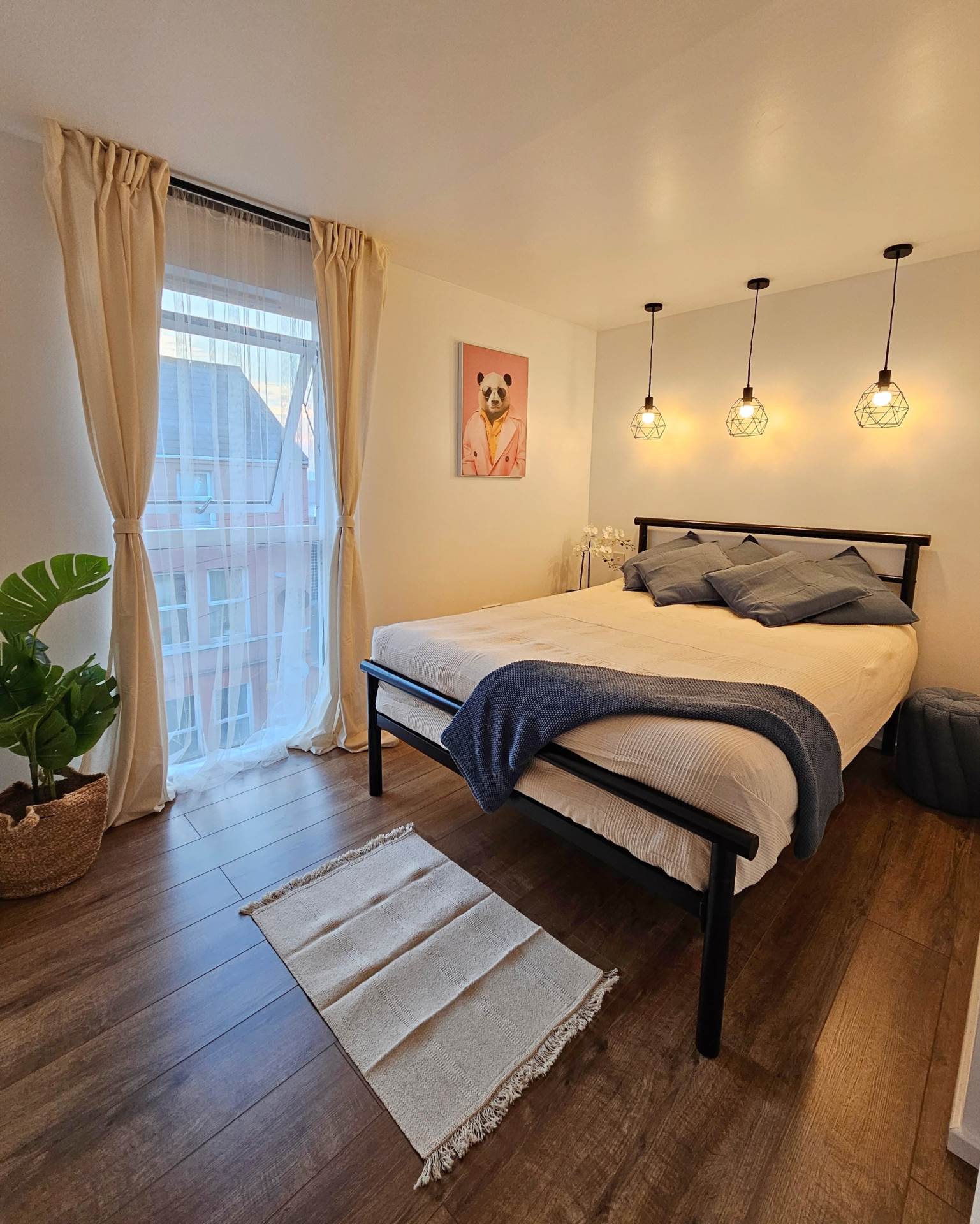 6c Albert Street, Bangor, Image 8