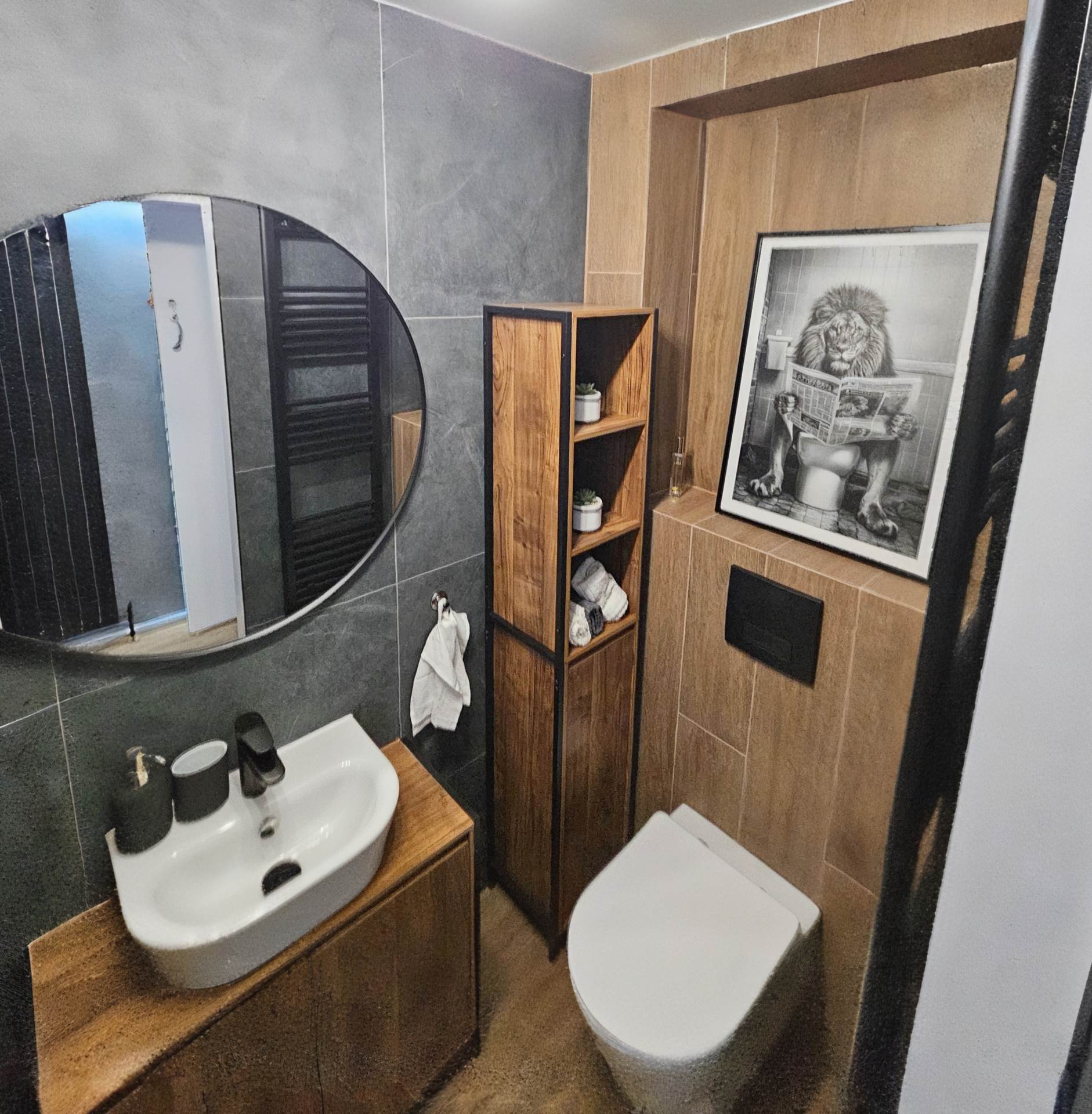 6c Albert Street, Bangor, Image 9