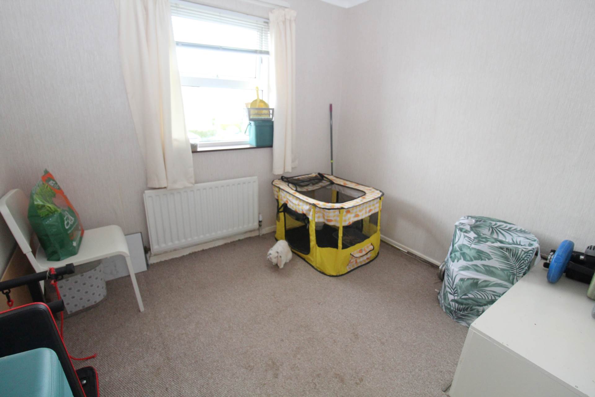 4 Tower Park, Newtownards, Image 8