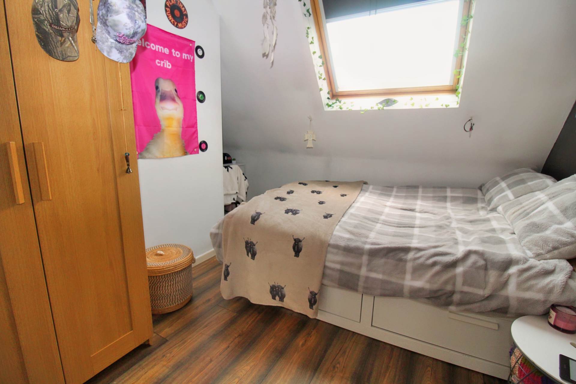 Cambourne Park, Newtownards, Image 11