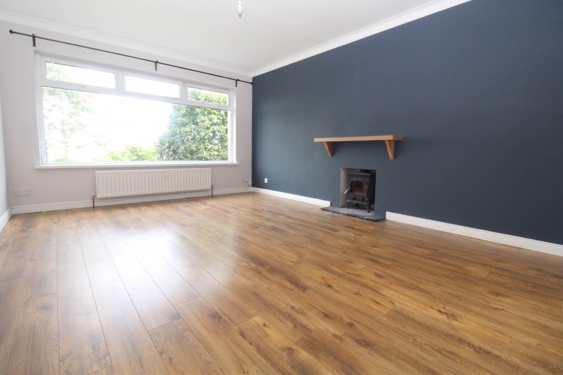 16 Jordan Avenue, Bangor, Image 5