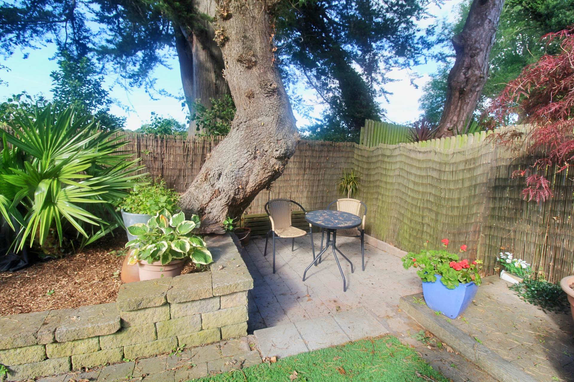 5 Worcester Lane, Bangor, Image 25
