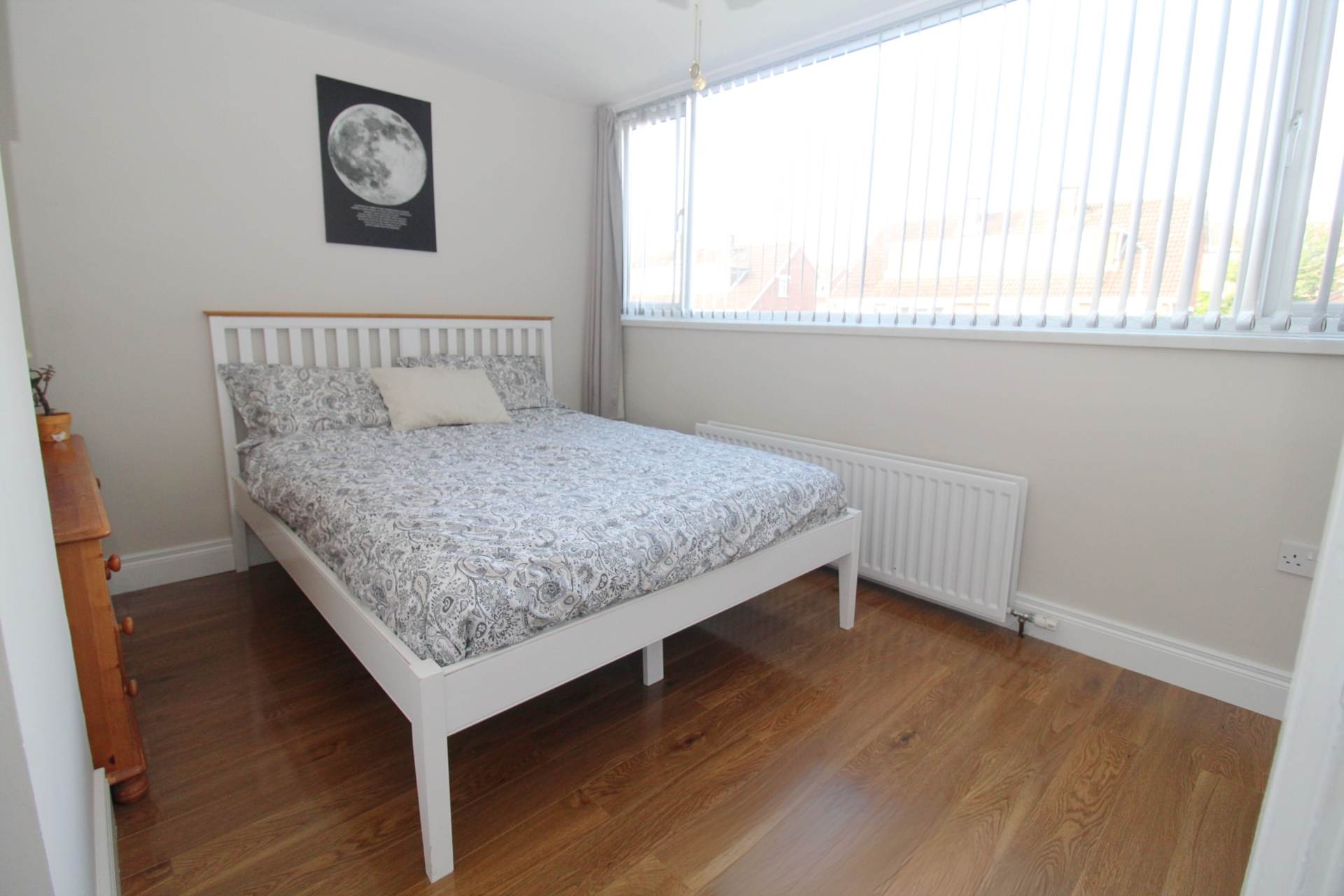 Belmont Park, Bangor, Image 14