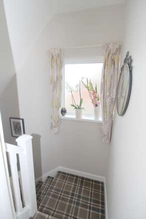 Belmont Park, Bangor, Image 13