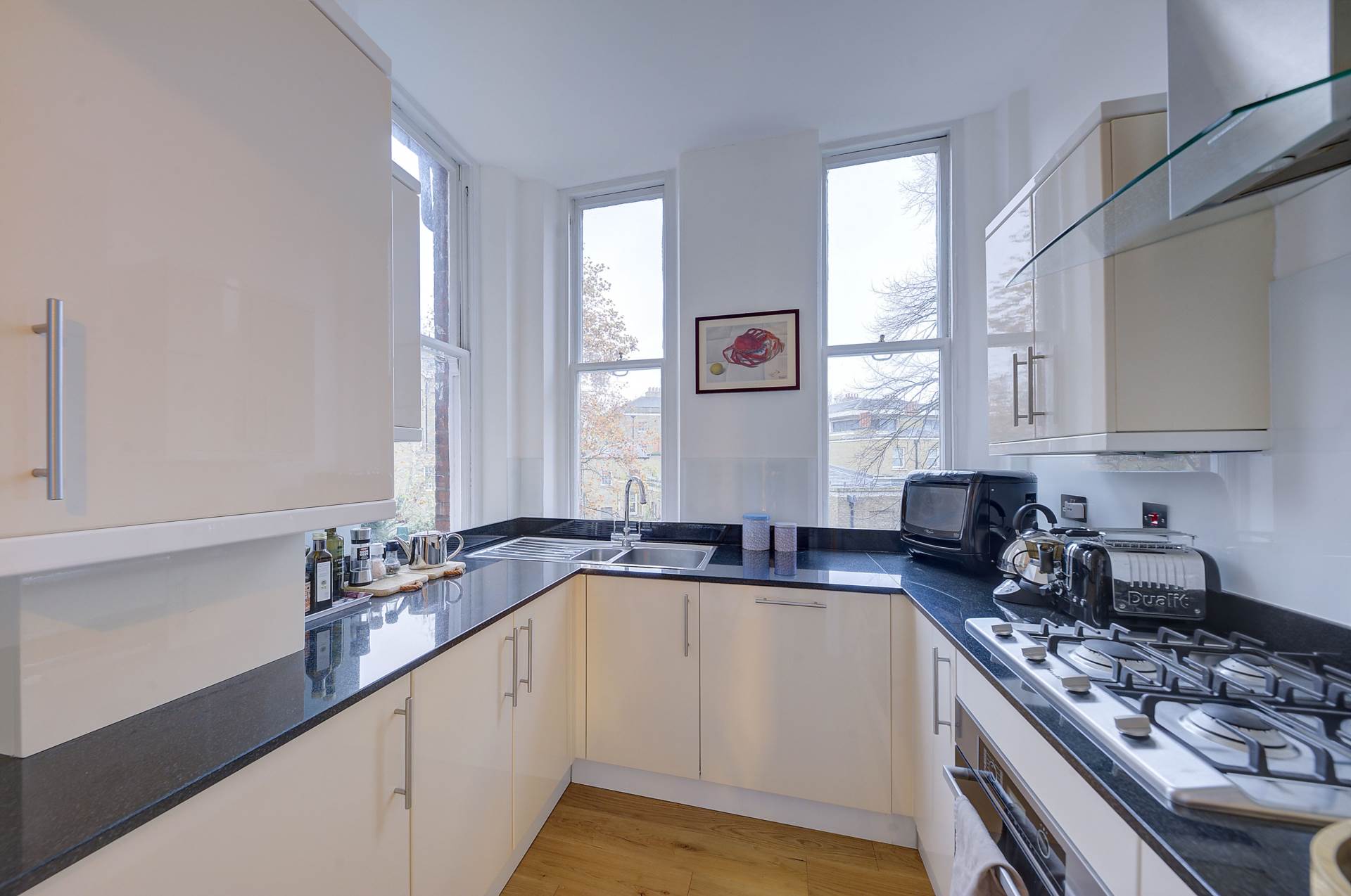 Lower Sloane Street, Chelsea SW1W, Image 7