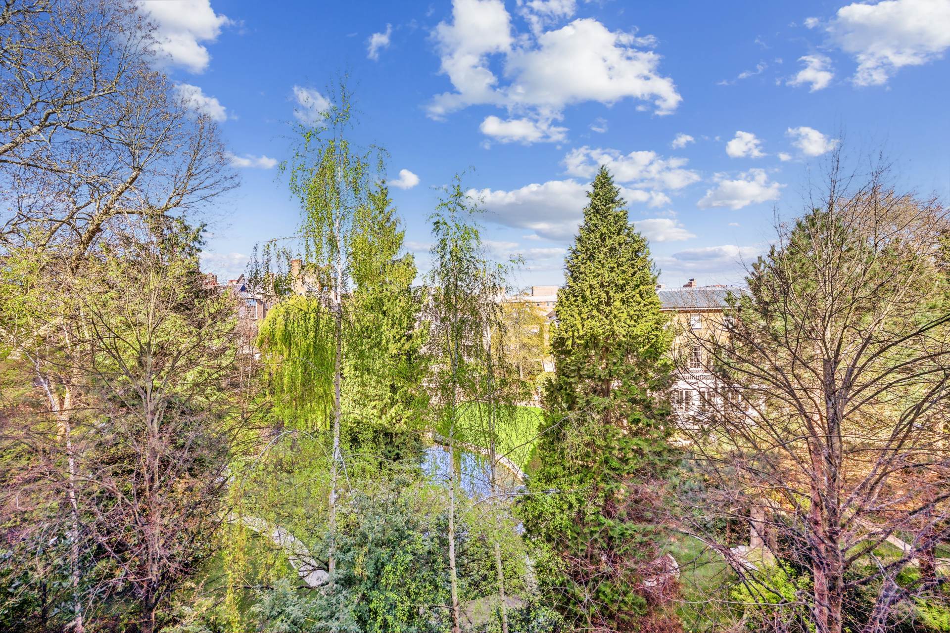 Embankment Gardens, Chelsea SW3, Image 2