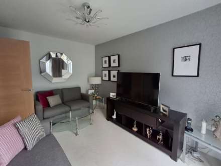 Park Wynd, Middlesbrough, Image 7