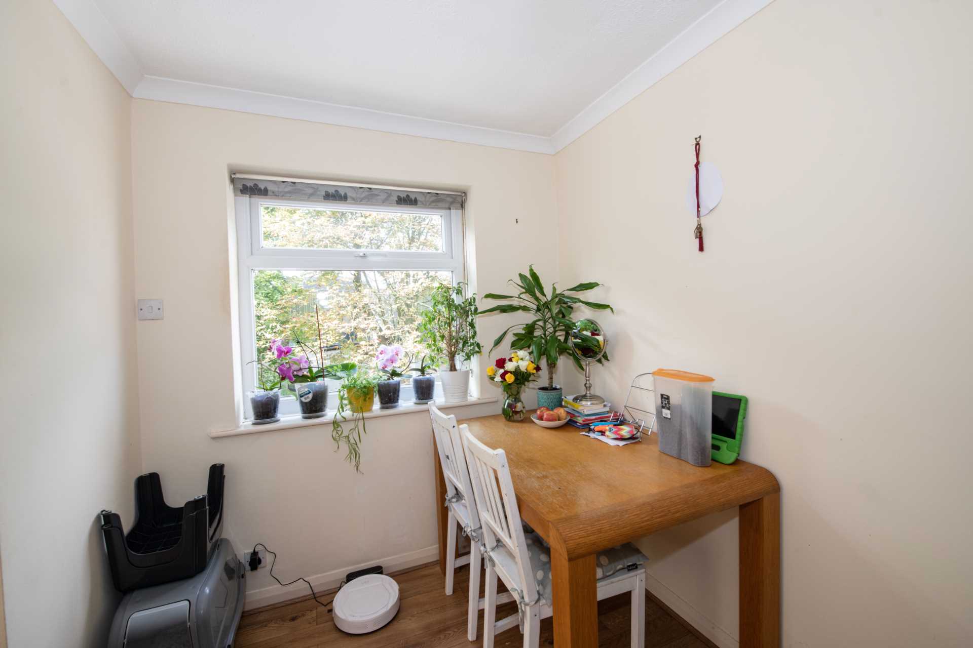 The Mount, Vine Street, Image 13