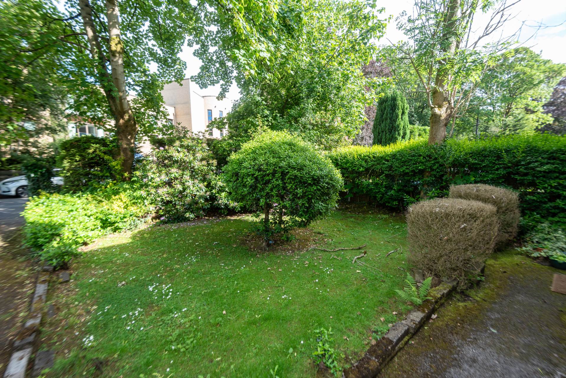 Park Lane, Manchester, Image 12