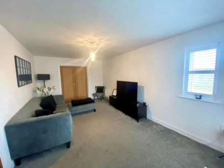 Clover Lane, Healing, Image 6