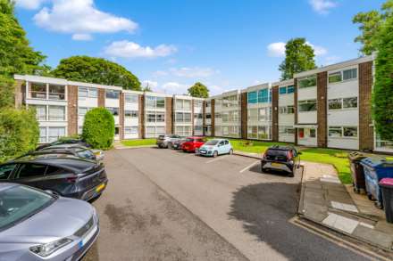 Tall Trees, Salford 7, Image 1
