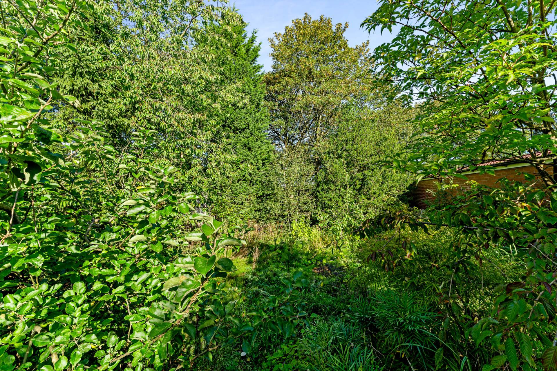 Brooklands Road, Crumpsall, Image 33