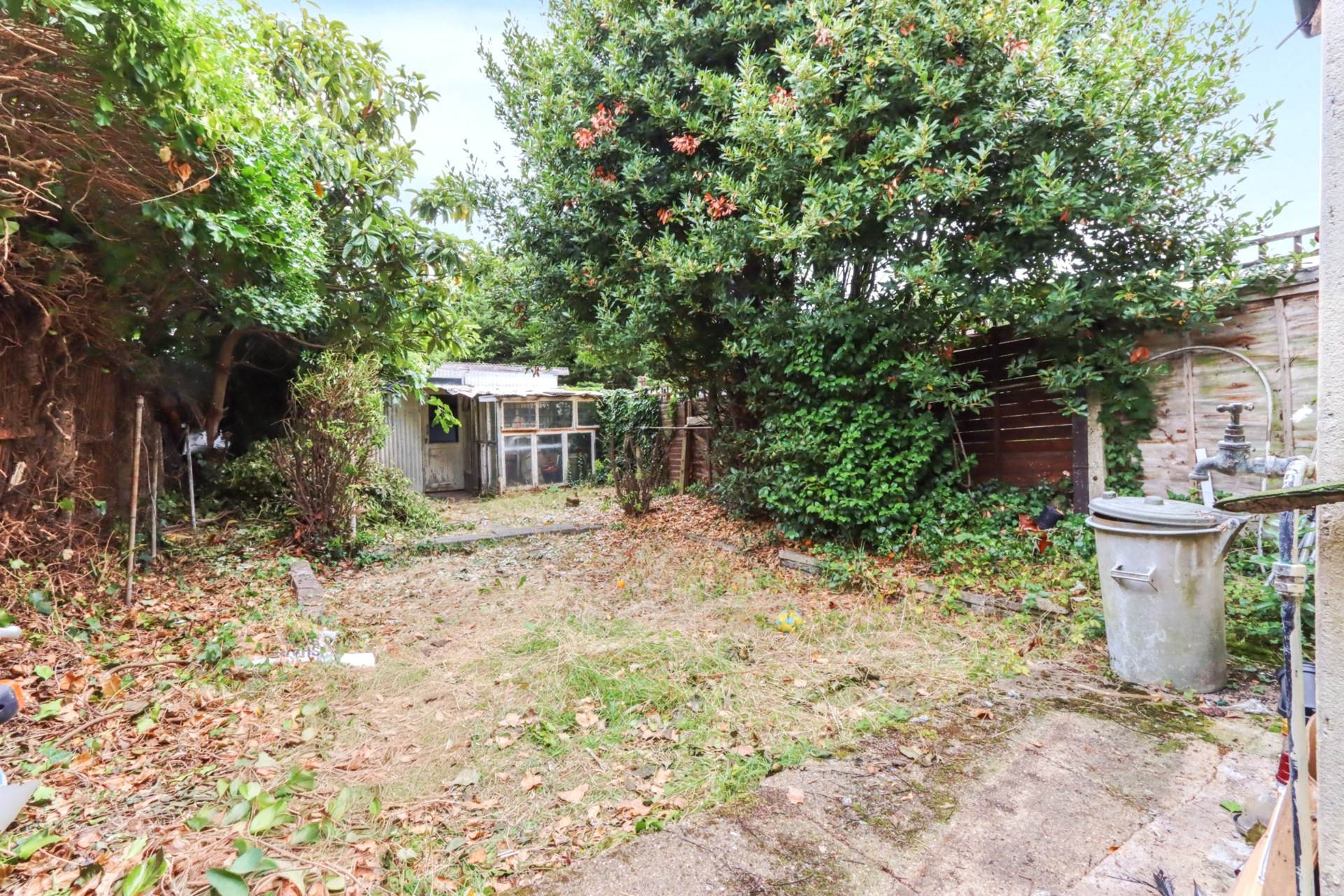 Buxted Road, London, Image 10