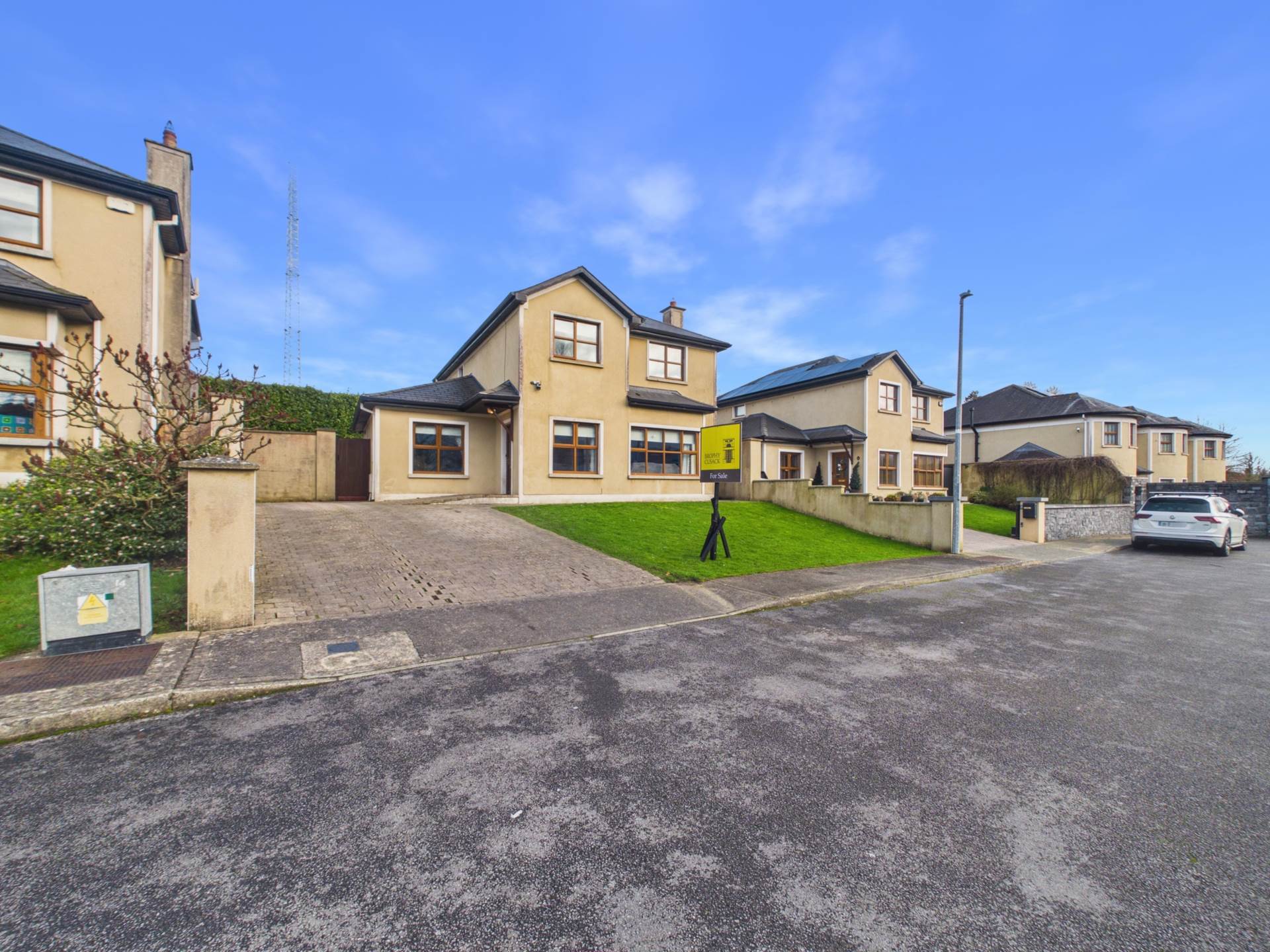 3 Mill House Park, Carrick-On-Suir, Co.Tipperary