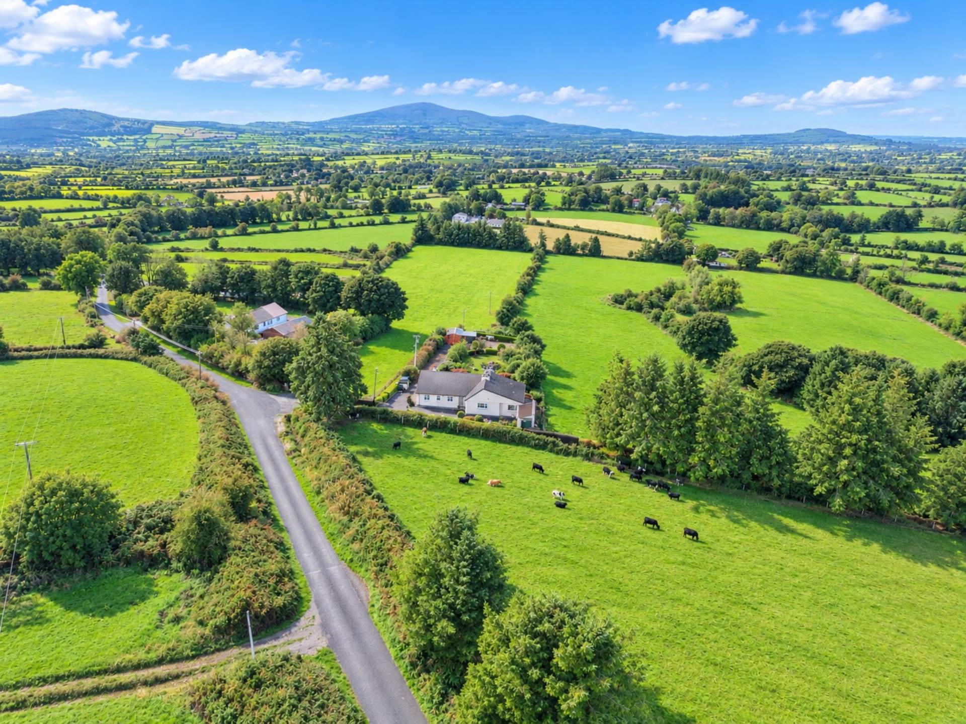 Ballgown, Kilmoganny, Co.Kilkenny