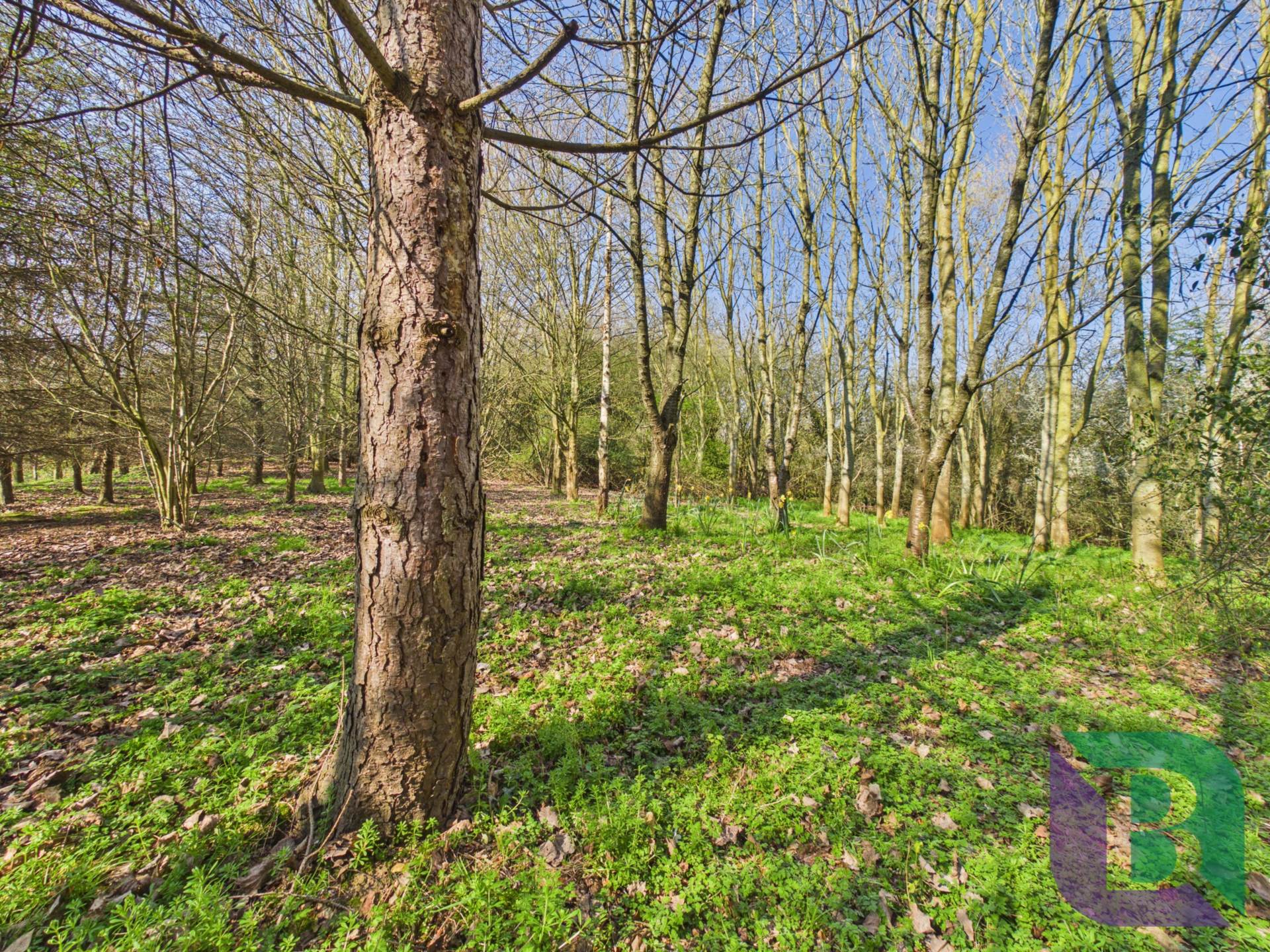 Mill Lane, Hulcote, Image 13