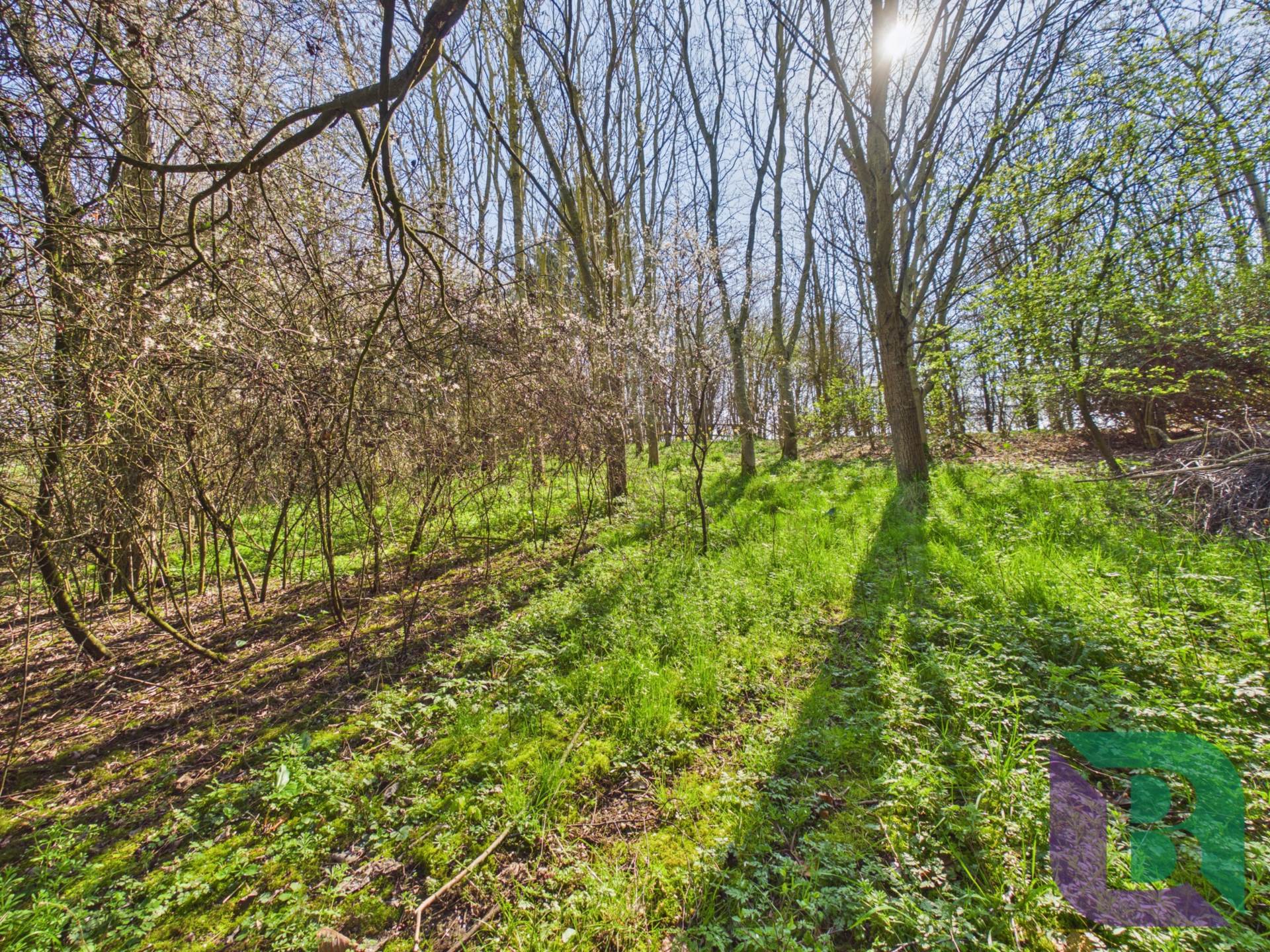 Mill Lane, Hulcote, Image 15