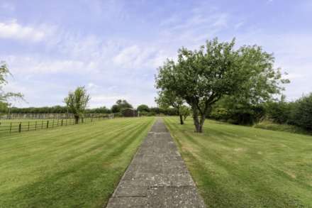 Tring, Image 39