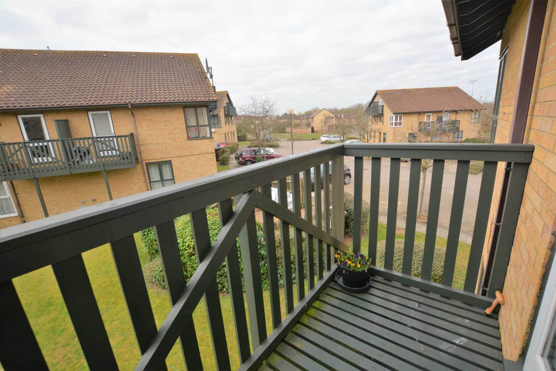 Ramsthorn Grove, Walnut Tree, Image 2