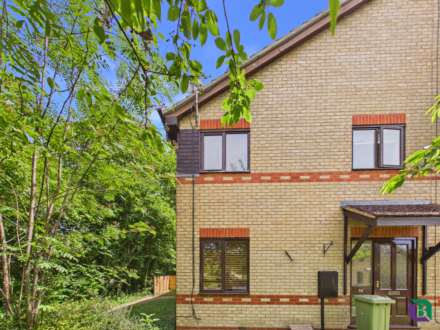 Ramsthorn Grove, Walnut Tree, Image 8