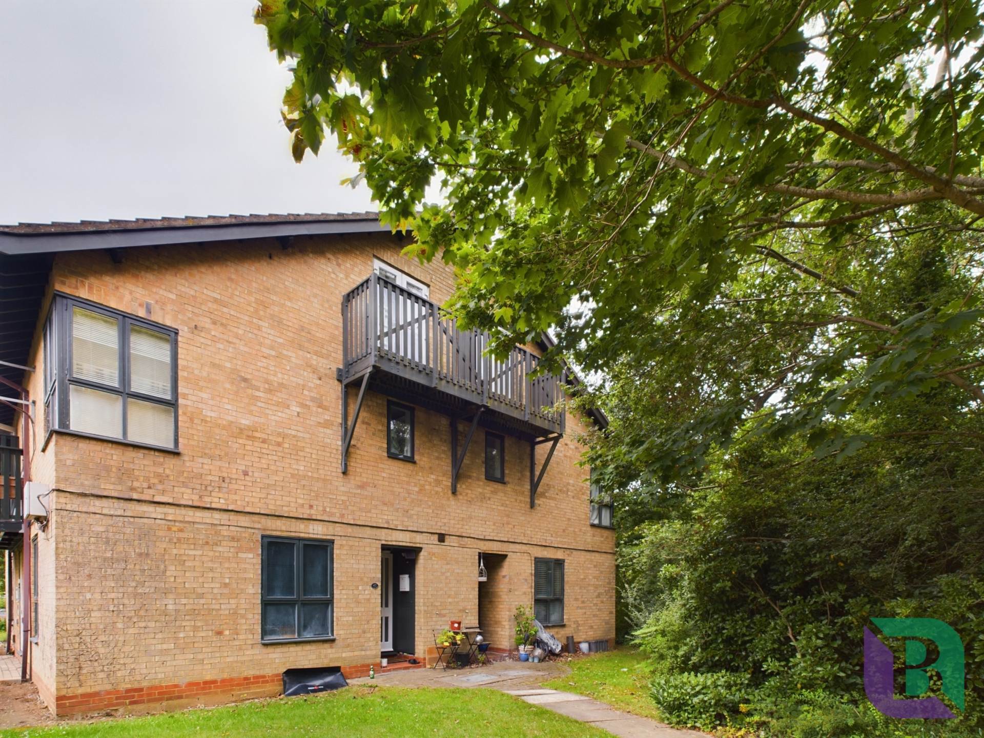 Ramsthorne Grove, Walnut Tree, Image 3