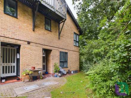 Ramsthorne Grove, Walnut Tree