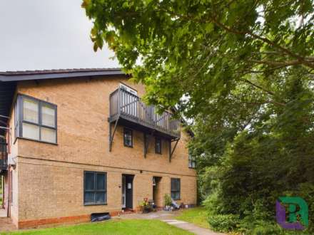 Ramsthorne Grove, Walnut Tree, Image 3