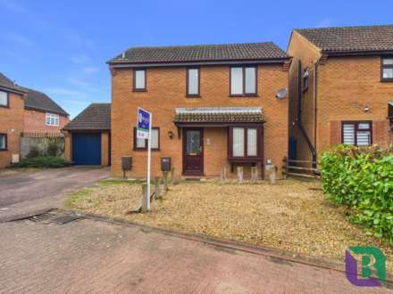 Hockliffe Brae, Walnut Tree, Image 1