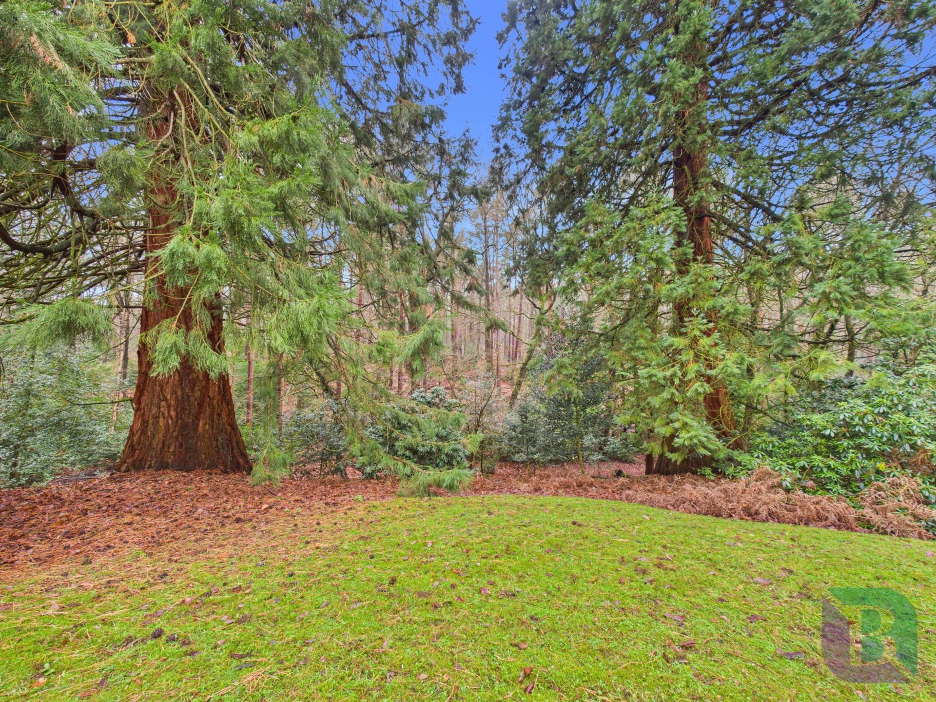 The Knoll, Aspley Heath, Milton Keynes, Image 10