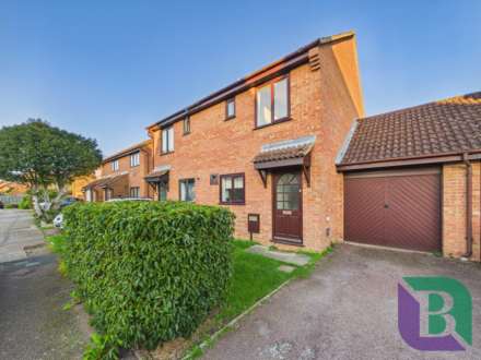 Meadowsweet, Walnut Tree