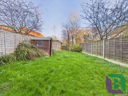 Meadowsweet, Walnut Tree, Image 2