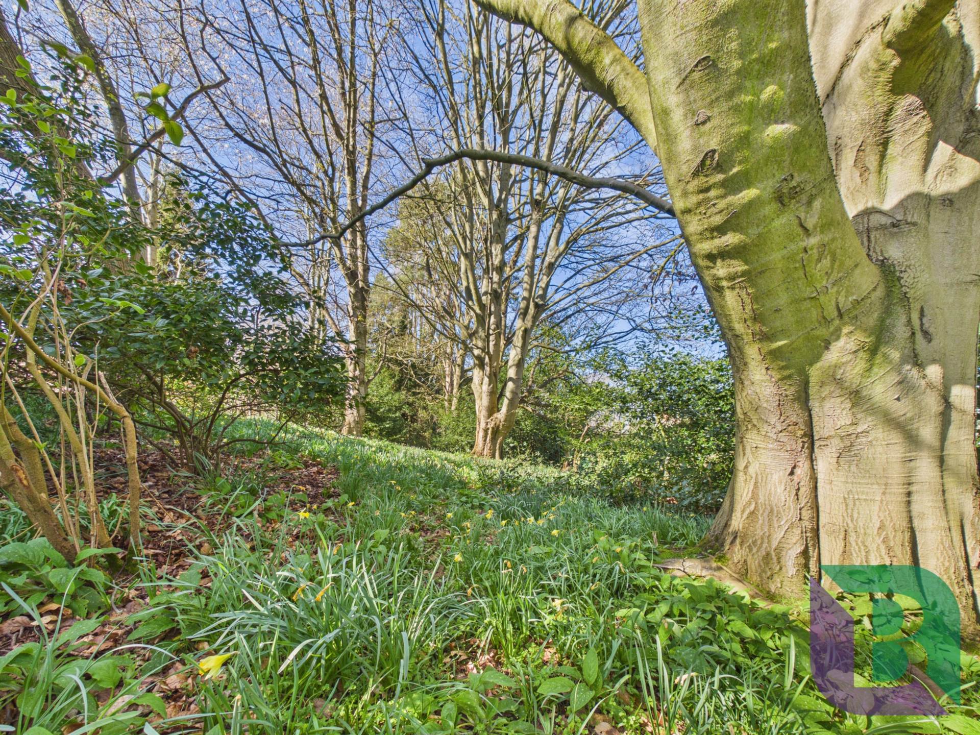 Manor Close, Salford Road, Aspley Guise, Image 25