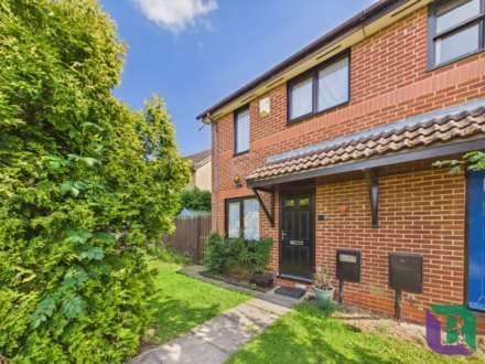 Boxberry Gardens, Walnut Tree