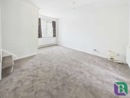 Boxberry Gardens, Walnut Tree, Image 5