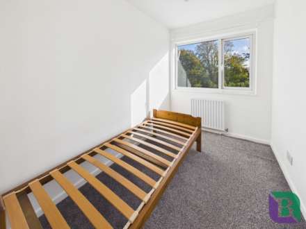 Broomfield, Stacey Bushes, Image 10