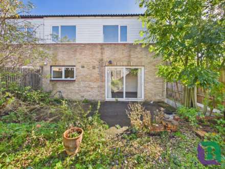 Broomfield, Stacey Bushes, Image 13