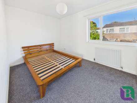 Broomfield, Stacey Bushes, Image 7