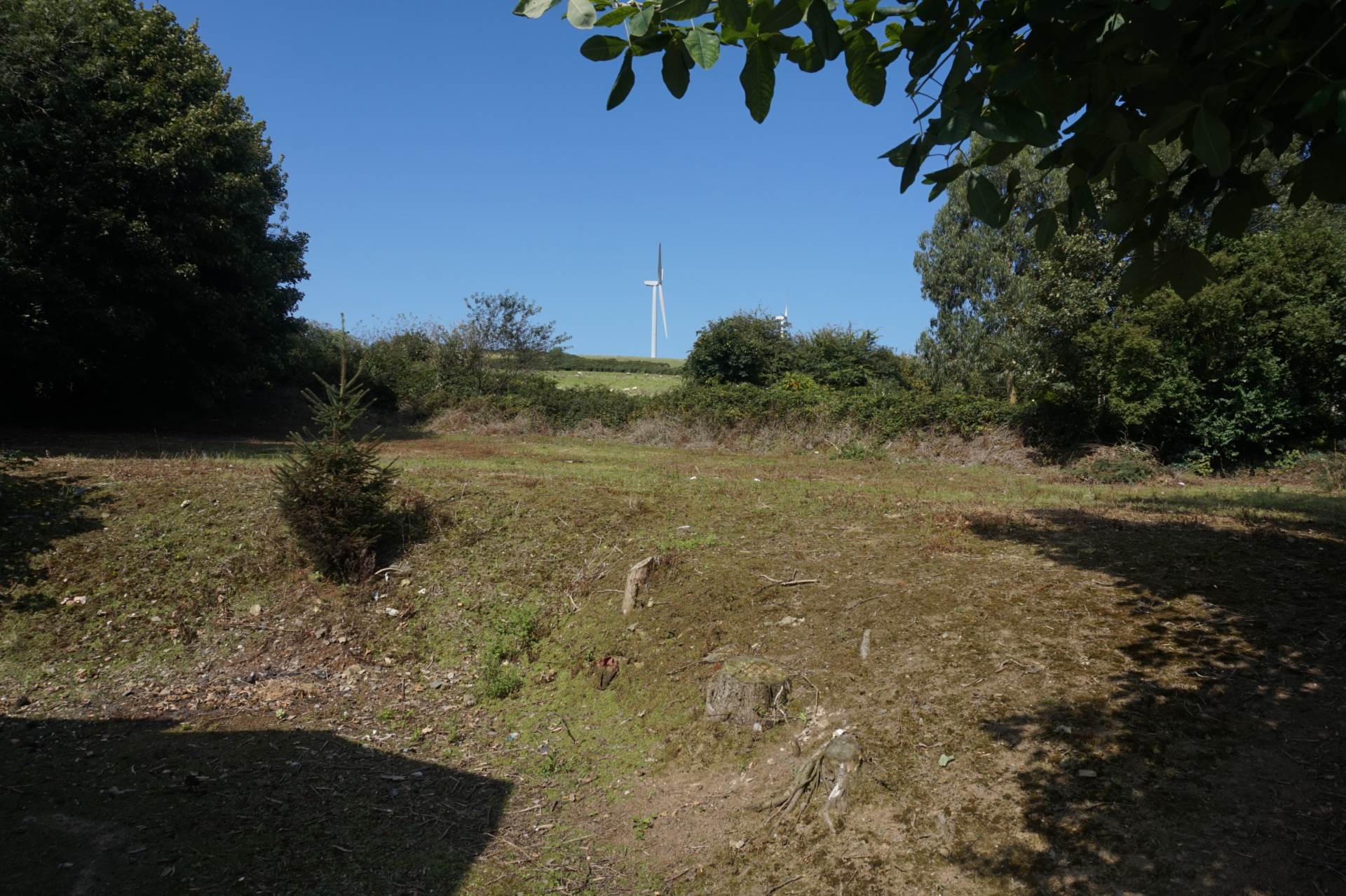 Graiguemore, Bunclody, Y21 C6X9