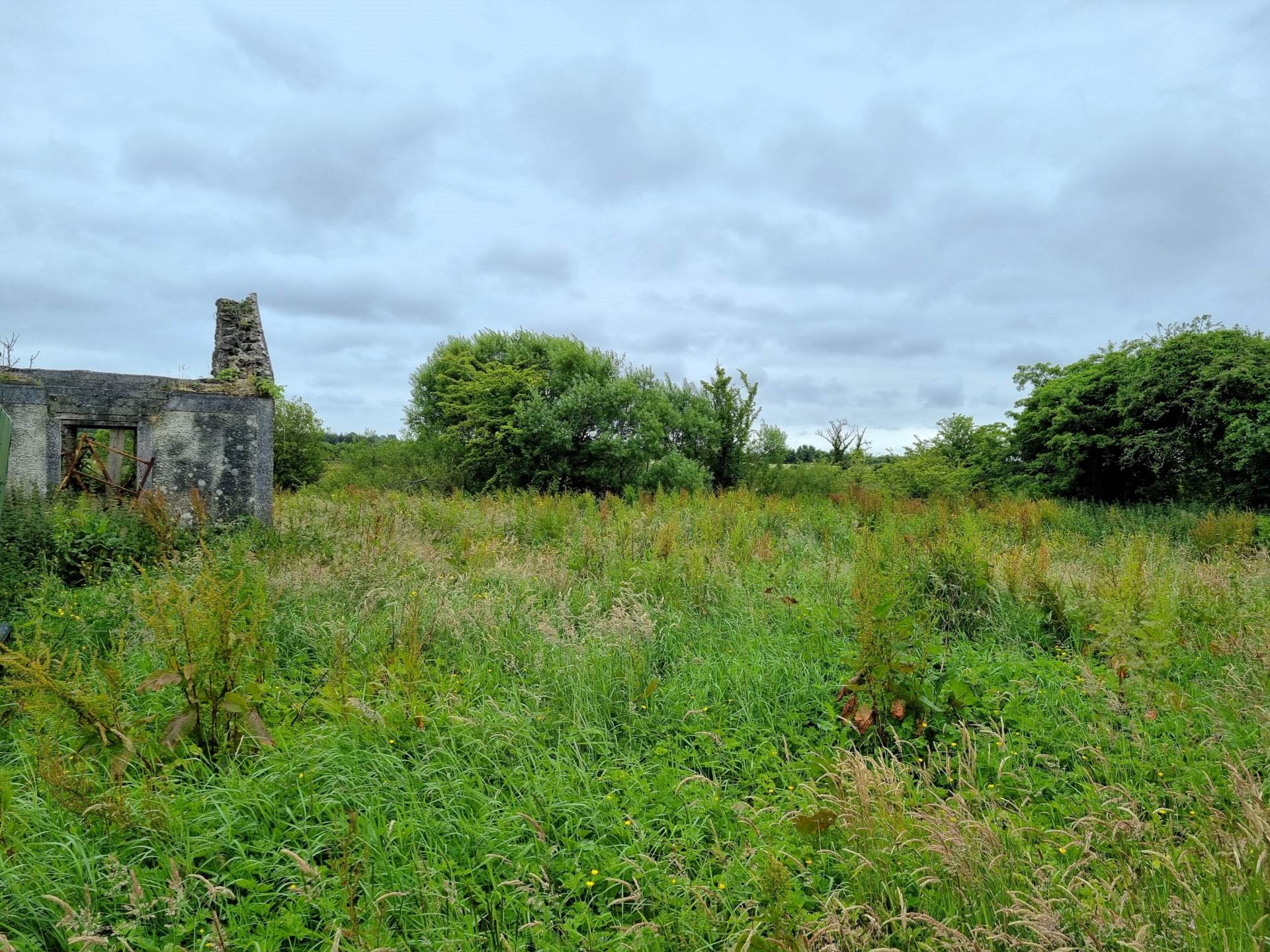 Driney, Loughglynn, Roscommon, F45 WC92 Driney, Loughglynn, Roscommon, F45 WC92
