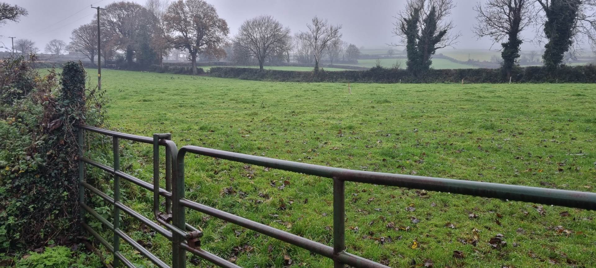 New Deerpark, Bunclody, Y21 AW72 New Deerpark, Bunclody, Y21 AW72