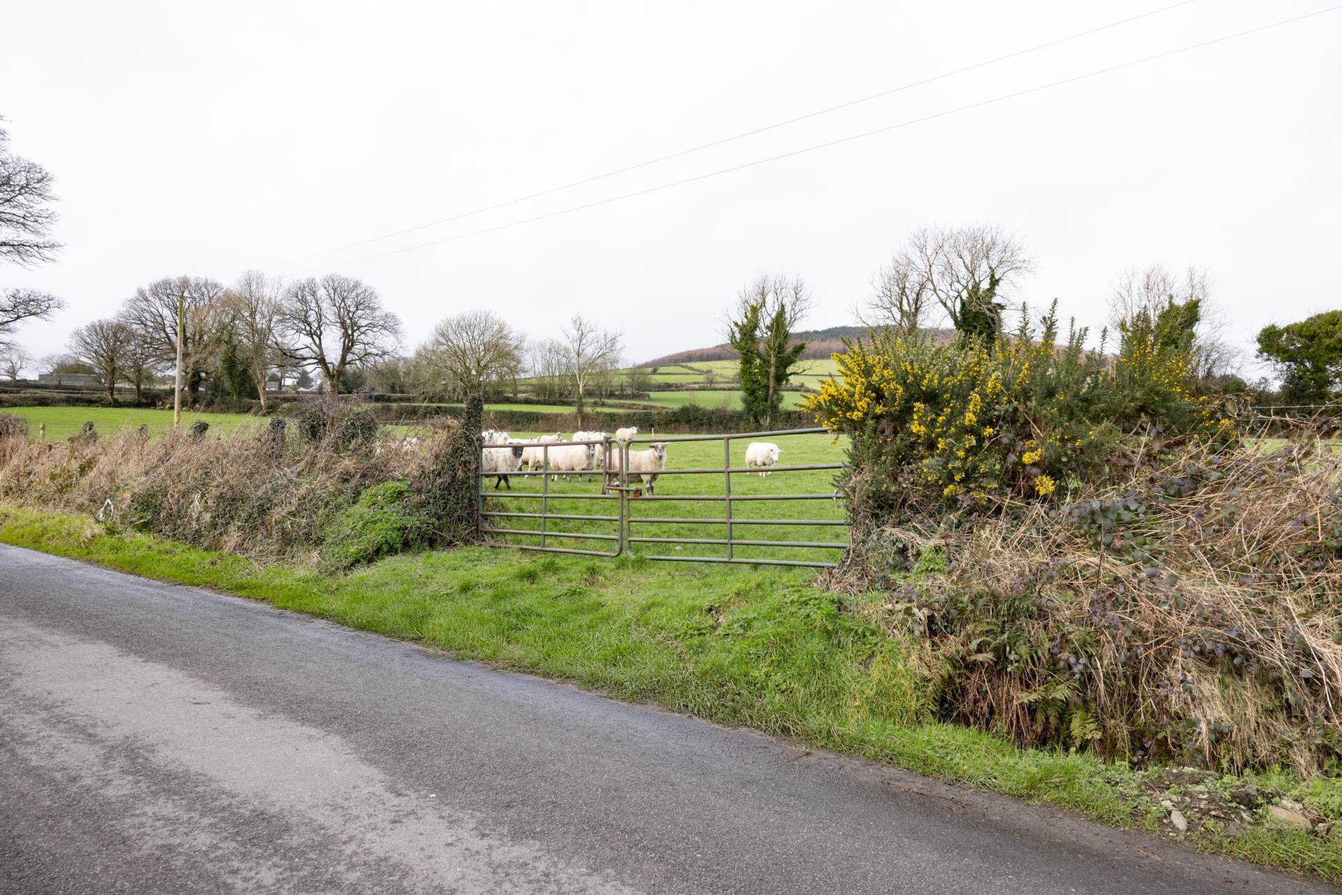 New Deerpark, Bunclody, Y21 AW72 New Deerpark, Bunclody, Y21 AW72