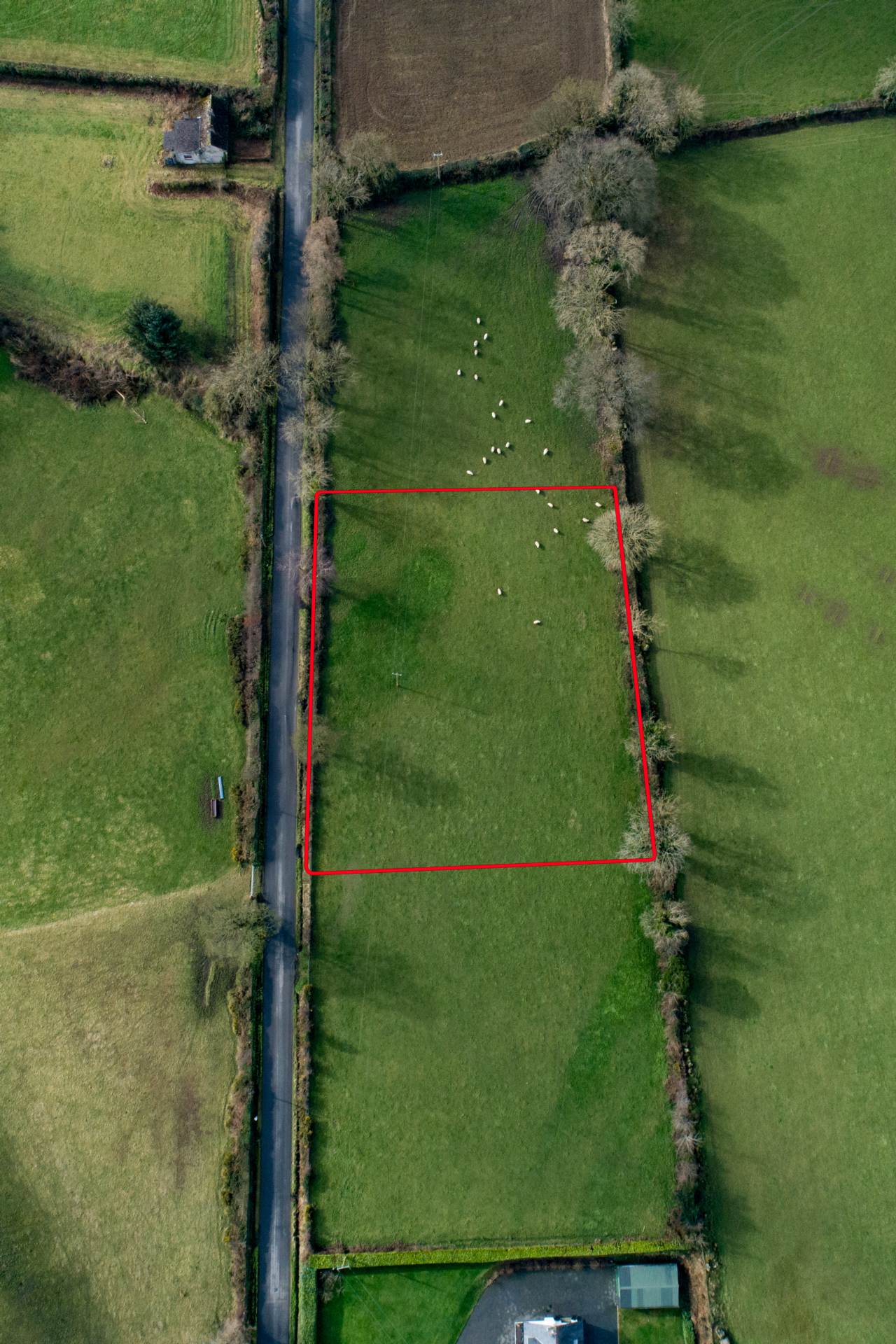 New Deerpark, Bunclody, Y21 AW72 New Deerpark, Bunclody, Y21 AW72